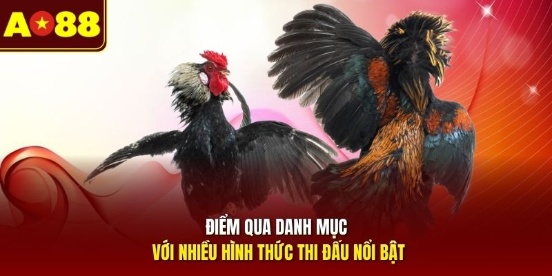 Điểm qua danh mục với nhiều hình thức thi đấu nổi bật 