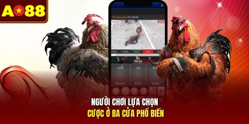 Người chơi lựa chọn cược ở ba cửa phổ biến